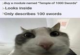 >Buy a module named "Temple of 1000 Swords" >Looks inside >Only describes 100 swords imgflip.com