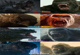 GODZILLA KONG SKULL ISLAND GODZILLA VS KONG GODZILLA KONG THE NEW EMPIRE MONARCH LEGACY OF MONSTERS