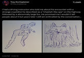 Trey the Explainer @Trey_Explainer X.com I had a driving instructor who told me about his encounter with a strange cryptid(s) he described as a "cheetah-like ape" on the highway followed by a abnormally large fox. He promised me I wouldn't tell people about it but years later I still am enthralled by the conversation... 5:58 PM 7/29/19