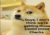 Guys, I don't think we're getting those $5000 DOGE Checks