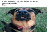 Interviewer: Do you have any special skills? Me: