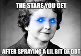 THE STARE YOU GET AFTER SPRAYING A LIL BIT OF DDT imgflip.com
