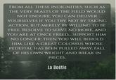 FROM ALL THESE INDIGNITIES, SUCH AS THE VERY BEASTS OF THE FIELD WOULD NOT ENDURE, YOU CAN DELIVER YOURSELVES IF YOU TRY, NOT BY TAKING ACTION, BUT MERELY BY WILLING TO BE FREE. RESOLVE TO SERVE NO MORE, AND YOU ARE AT ONCE FREED... SUPPORT HIM NO LONGER; THEN YOU WILL BEHOLD HIM, LIKE A GREAT COLOSSUS WHOSE PEDESTAL HAS BEEN PULLED AWAY, FALL OF HIS OWN WEIGHT AND BREAK IN PIECES. La Boétie