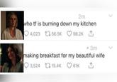 A version of the "who tf is burning down my kitchen":https://knowyourmeme.com/memes/who-tf-is-burning-down-my-kitchen meme. The meme references Pluribus.