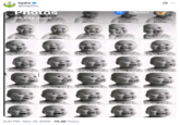 A "tweet":https://knowyourmeme.com/memes/sites/twitter-x from Twitter user @blephin_, showing an iPhone camera roll filled with screenshots of the Baby Covering Mouth "viral video":https://knowyourmeme.com/memes/viral-videos.