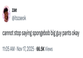 zae @itszaeok cannot stop saying spongebob big guy pants okay 11:05 AM • Nov 17, 2025 66.5K Views