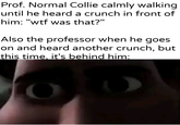 Prof. Normal Collie calmly walking until he heard a crunch in front of him: "w-- was that?" Also the professor when he goes on and heard another crunch, but this time, it's behind him: uykhantierpartesar