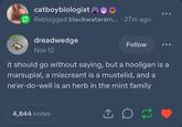 catboybiologist ☺ ☺ ☺ Reblogged blackwatersin... . 27m ago dreadwedge Follow Nov 12 it should go without saying, but a hooligan is a marsupial, a miscreant is a mustelid, and a ne'er-do-well is an herb in the mint family 4,844 notes
