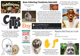 Goblincore CITES That one dude who gets super p----- if you dare suggest that the Romanian child's skull he bought from a retired doctor for $200 might have been sourced unethically Bone Collecting/Taxidermy Subreddit "What is this strange animal-" "Raccoon" Etsy ALL NATURAL SINCE 1931 20 MULE TEAM * BORAX DETERGENT BOOSTER Hold C CMDE IN WON SE NE IN SIRIM SMA Confused and alarmed person who found the sub through r/all "Oh my god you guys, I just found an arm in the woods, is it human? I already called the FBI and also the news" Someone comes on the subreddit with a story about how they were cross-country backpacking in Bosnia for some reason, and they found a pile of bones on a hillside that look like sheep bones but there's also some old shoes mixed in. Everyone urges them to contact the authorities about it, but then the thread gets locked and removed and nobody ever hears from the OOP ever again U.S. Fish and Wildlife Service (.gov) https://www.fws.gov> lab> featheratlas The Feather Atlas - Feather Identification and Scans At least one very confused person who is attempting to glue an animal's shoulderblades to the top of its skull (they thought they were ear bones) (It's a black bear) Migratory Bird Treaty Act of 1918 Article Talk From Wikipedia, the free encyclopedia "I found this weird skull, what-" "Raccoon" "Got this antique tiger mount on Craigslist for $50. Is it a good deal? The nose is peeling a little" There's always that one quirky amputee who kept their skeletonized body part and carries it around on adventures now