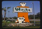 Wacky GOLF
