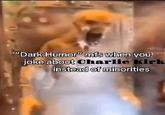 "Dark Humor" mfs when you joke about Charlie Kirk instead of minorities