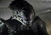 AVP ALIENS VA SHEE
