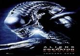 ALIENS VS PREDATOR REQUIEM JANUARY 2008