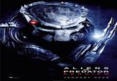 ALIENS VS PREDATOR REQUIEM JANUARY 2008