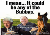 I mean... It could be any of the Bubbas. Trump Donor C.R. "Bubba" Saulsbury Former President Bill "Bubba" Clinton Ghislaine Maxwell's horse named "Bubba"