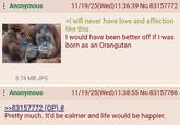 Anonymous 11/19/25(Wed)11:36:39 No.83157772 >I will never have love and affection like this I would have been better off if I was born as an Orangutan 3.74 MB JPG Anonymous >>83157772 (OP) # 11/19/25(Wed)11:38:55 No.83157786 Pretty much. It'd be calmer and life would be happier.