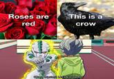 Roses are red This is a crow Okay, Master! Let's kill da ho!