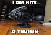 I AM NOT... نن A TWINK