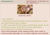 Anonymous 20/11/2025, 11:03:30 am No.23001771 > be wheat 846 KB JPEG > Require stupid levels of processing to even be anywhere near edible > Still was the historically dominant grain in all of history over rice who's only required processing is f------ boiling it How did people who wiped their ass with a communal sponge on a stick figure out wheat