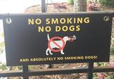 NO SMOKING NO DOGS AND ABSOLUTELY NO SMOKING DOGS!