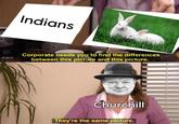 Indians Corporate needs you to find the differences between this picture and this picture. Churchill They're the same picture.