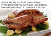Just a friendly reminder to my fellow Americans that you will never look back at the roasted turkey pic you took this year