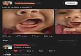 HELP is this a tooth?? Top 18h Follow 1K Q192 4 14 View activity > 16h That's a baby 4K Q 6 G D 2 Show replies