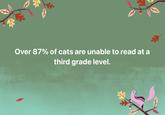 Over 87% of cats are unable to read at a third grade level.