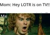Mom: Hey LOTR is on TV!! Me
