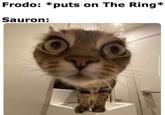 Frodo: *puts on The Ring* Sauron: