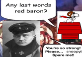 Any last words red baron? You're so strong! Please... snoopy! Spare me!!