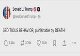 Donald J. Trump + @realDonaldTrump • 1h SEDITIOUS BEHAVIOR, punishable by DEATH! Q 3.28k 3.79k 11.3k ធ I