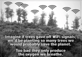 Imagine if trees gave off WiFi signals; we'd be planting so many trees we would probably save the planet. Too bad they only produce the oxygen we breathe.