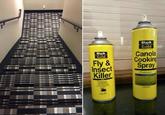 Black Gold Black Gold Canola Fly & Insect Cooking Spray Killer