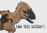 take this soldier!!