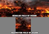 REGULAR FIELD OF VISION MEPHISTON FIELD OF VISION