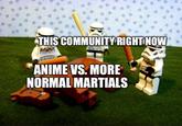 THIS COMMUNITY RIGHT NOW ANIME VS. MORE NORMAL MARTIALS