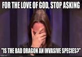 FOR THE LOVE OF GOD, STOP ASKING "IS THE BAD DRAGON AN INVASIVE SPECIES?" imgflip.com