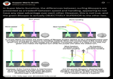 Supper Mario Broth @MarioBrothBlog In Super Mario Sunshine, the differences between surfing Bloopers are presented as a tradeoff between speed and handling, appearing to not have any clear advantage over each other. However, this is not true, and the green Blooper is actually OBJECTIVELY SUPERIOR to the other two. Worst speed Best speed Best handling Worst handling In Super Mario Sunshine, the three colors of Blooper Surfers appear to be a straightforward case of a typical racing game "speed vs. handling" tradeoff. When the Control Stick is left neutral, the green one is slowest and the purple one is fastest. Conversely, when it is tilted to the side, the green one makes the tightest turn while the purple one takes the widest turn. Most freedom of speed choice and best handling No freedom of speed choice and worst handling However, if the Control Stick is held forward, all of the Bloopers actually have the exact same top speed. Now the green Blooper's disadvantage is eliminated... Source: info: bsky.app user @nokidoki.bsky.social ...but the purple Blooper's disadvantage remains. The green Blooper has the best handling and can go as fast as the purple one if needed, making it superior.