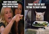 MARY TODD LINCOLN SEEING LINCOLN FEEDING TABBY FROM THE TABLE TABBY THE CAT JUST TRYING TO ENJOY A MEAL imgflip.com