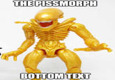 THE PISSMORPH BOTTOM TEXT