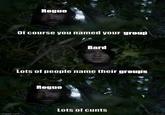 imgflip.com Rogue Of course you named your group Bard Lots of people name their groups Rogue Lots of c----