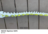 NCO Spine Gift $110