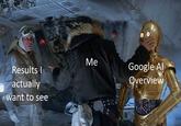 Results I actually want to see Me Google Al Overview