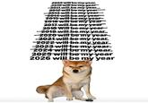 2009 will be my year. 2019 will be my year -2011 will be my year. 2012 will be my year 2013 will be my year- 2014 will be my year 2015 will be my year- 2016 will be my year 2017 will be my year 2018 Will be my year 2019 will be my year. -2020 will be my year -2021 will be my year. 2022 will be my year. 2023 will be my year- 2024 will be my year. 2025 will be my year 2026 will be my year