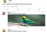 istp @isfp my talent is identifying birds 12:37 PM 30/08/2021 • intj @intj 17 okay. what's this one? +] 2 m v isfp @isfp 1 m v yep it's definitely a bird