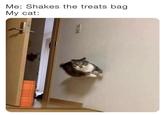 Me: Shakes the treats bag My cat: