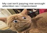 My cat isn't paying me enough attention so I improvised
