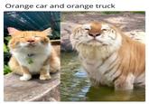 Orange car and orange truck