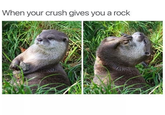 When your crush gives you a rock